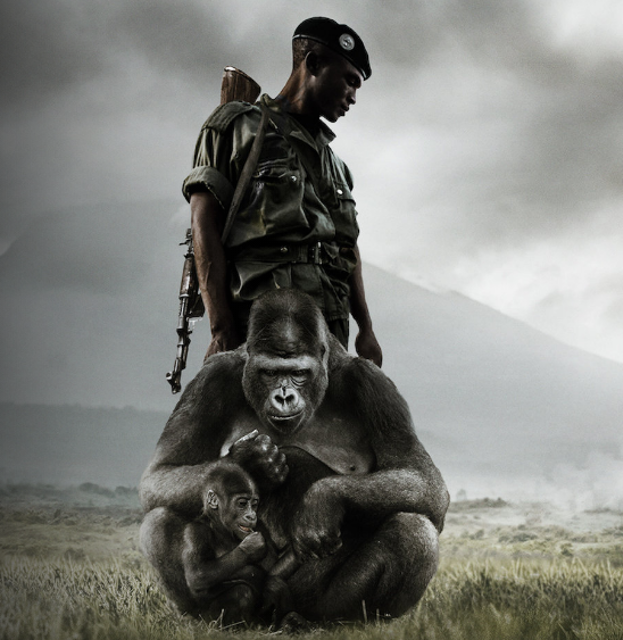 110 Rekomendasi Rekomendasi Film Terbaik tentang Hewan dan Manusia (Terbaru Tahun 210 Rekomendasi22)